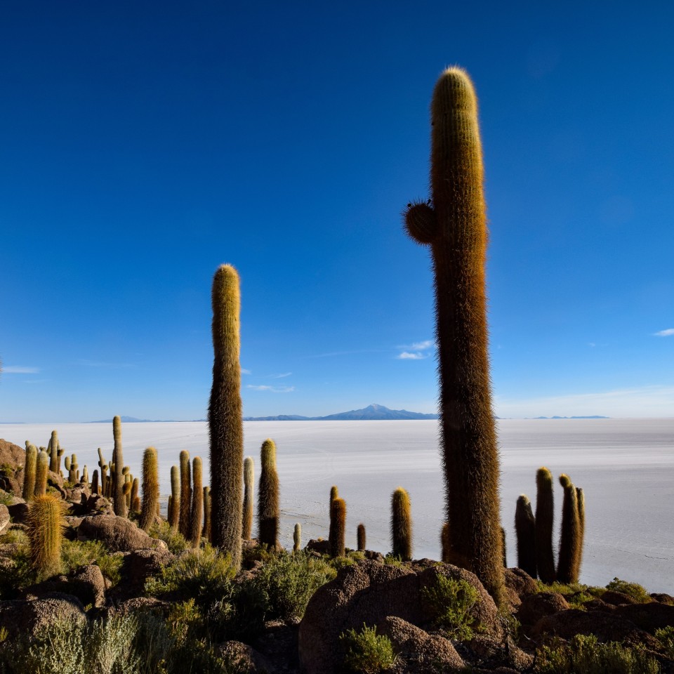 Natur und Kultur im Herzen von Südamerika